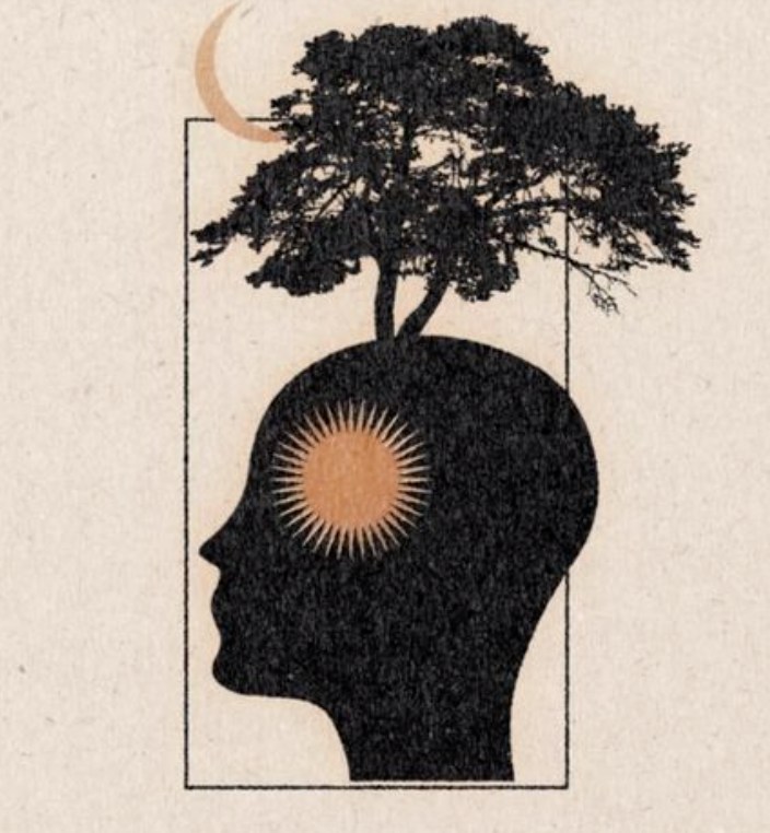Guided meditation